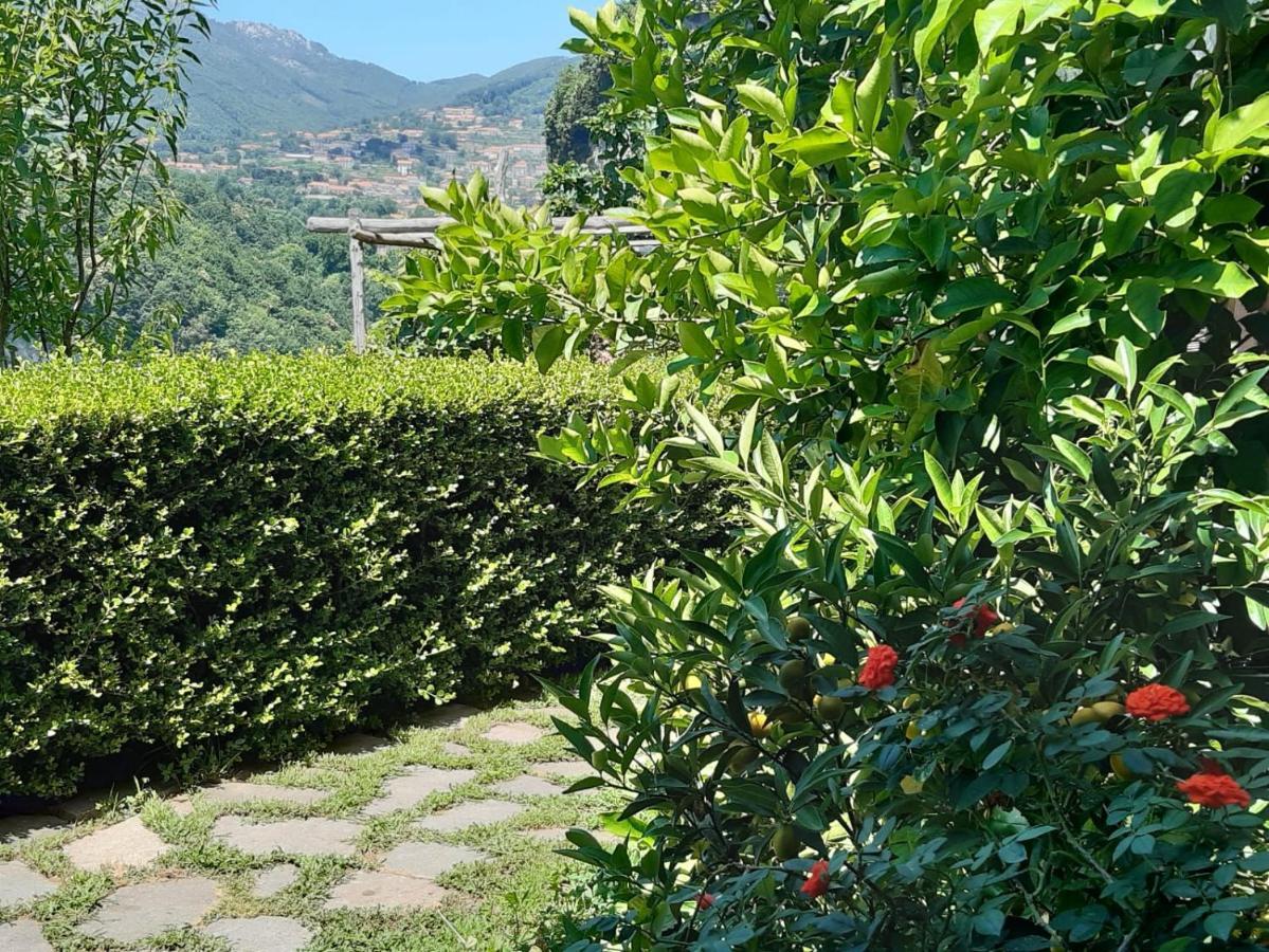 Orrido Di Pino Alojamento de Turismo Rural