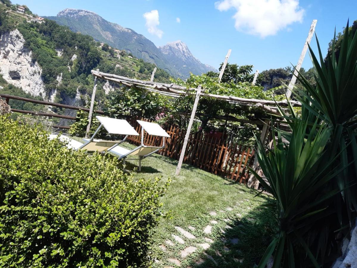 Orrido Di Pino *