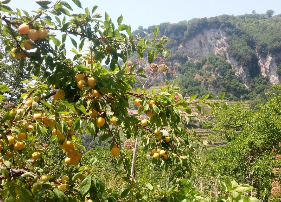 Orrido Di Pino
