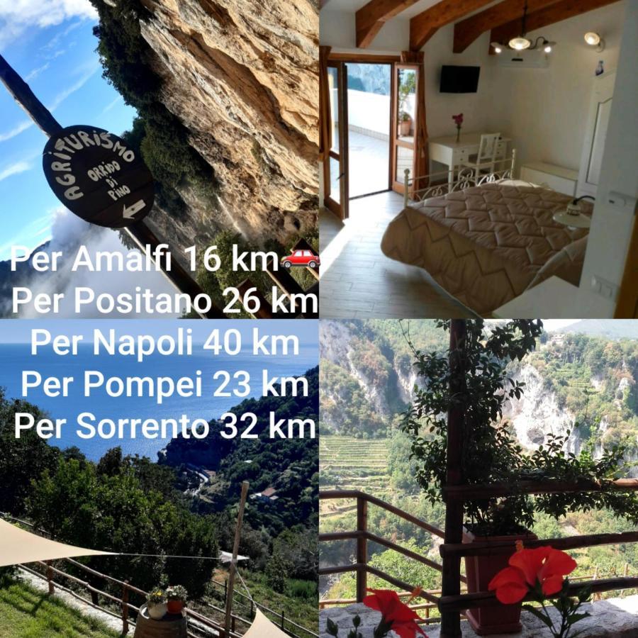 Alojamento de Turismo Rural Orrido Di Pino *