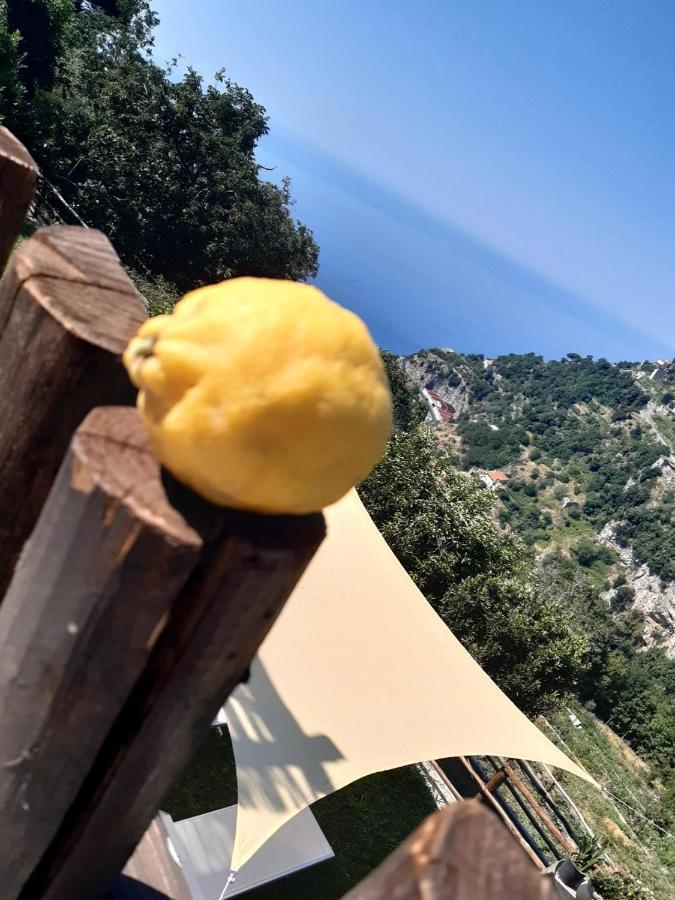 Orrido Di Pino *