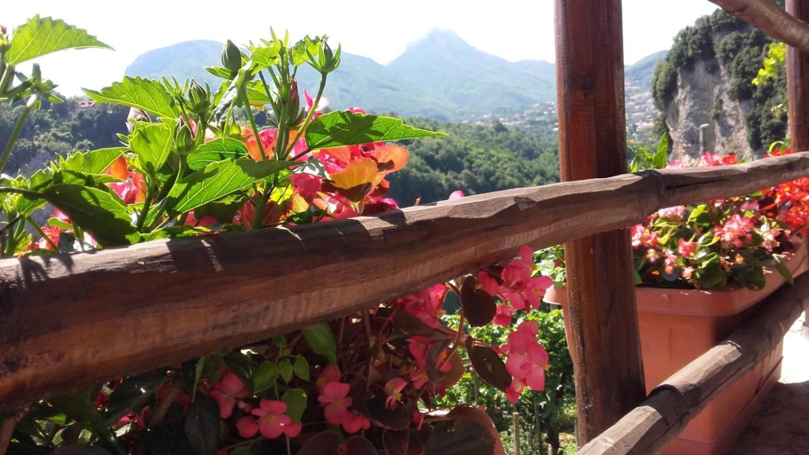 Orrido Di Pino Alojamento de Turismo Rural