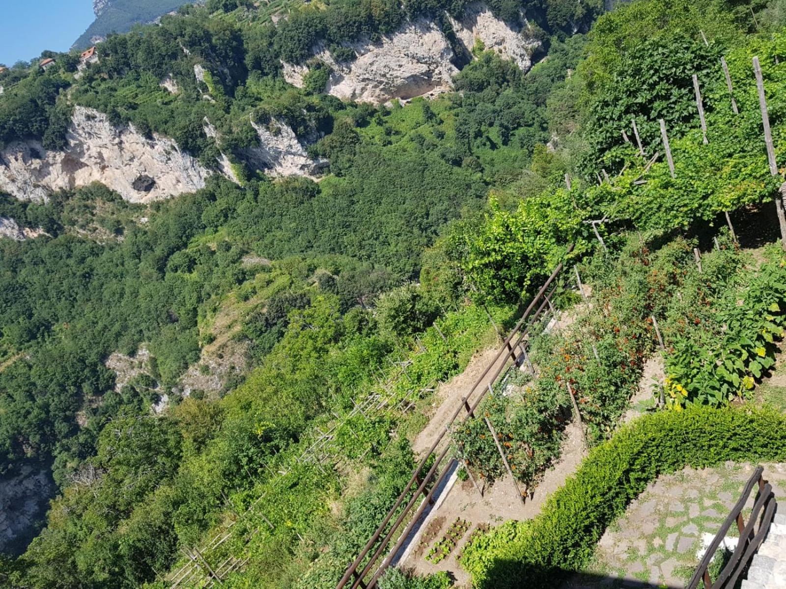 Orrido Di Pino Agerola