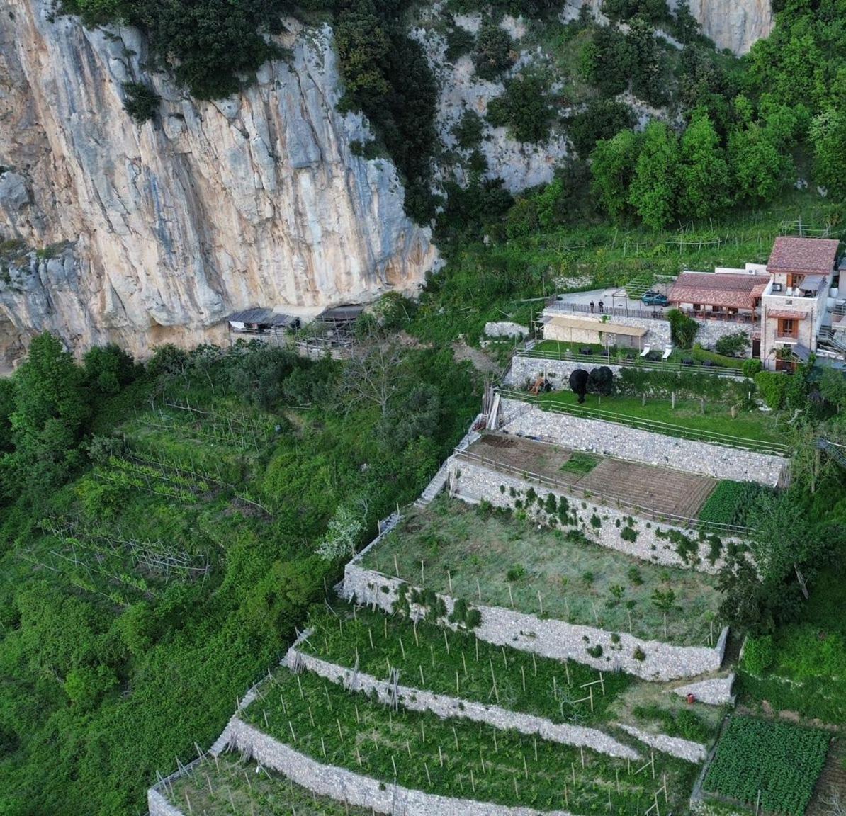 Alojamento de Turismo Rural Orrido Di Pino *