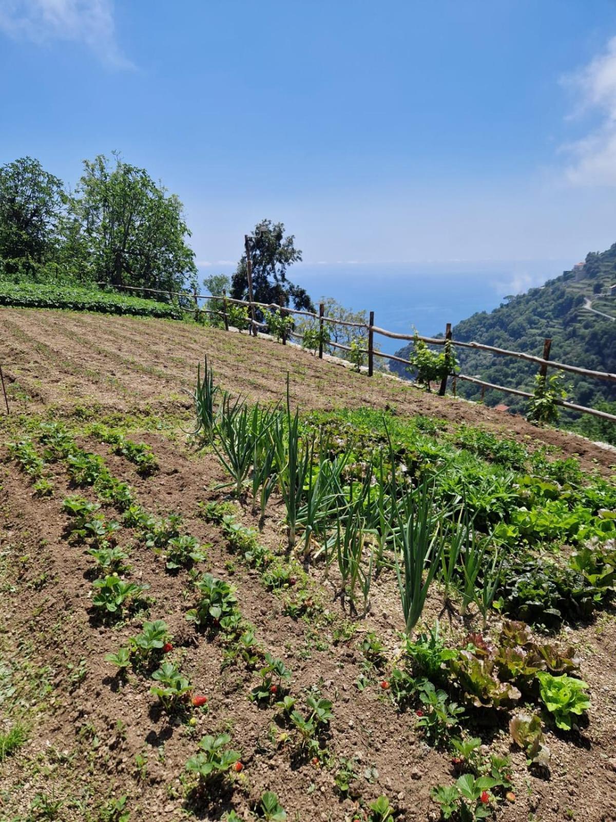 Orrido Di Pino Agerola