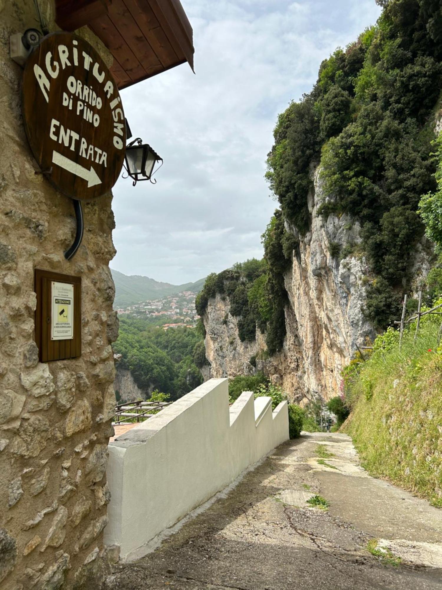 Orrido Di Pino