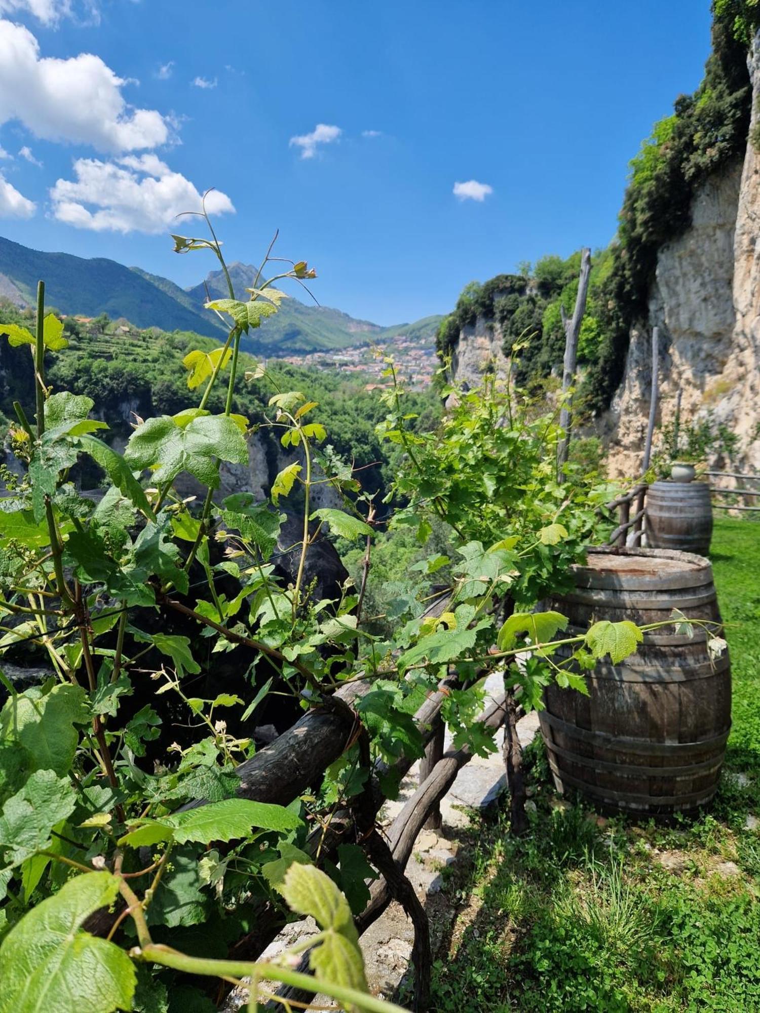 Orrido Di Pino Alloggio per agriturismo *