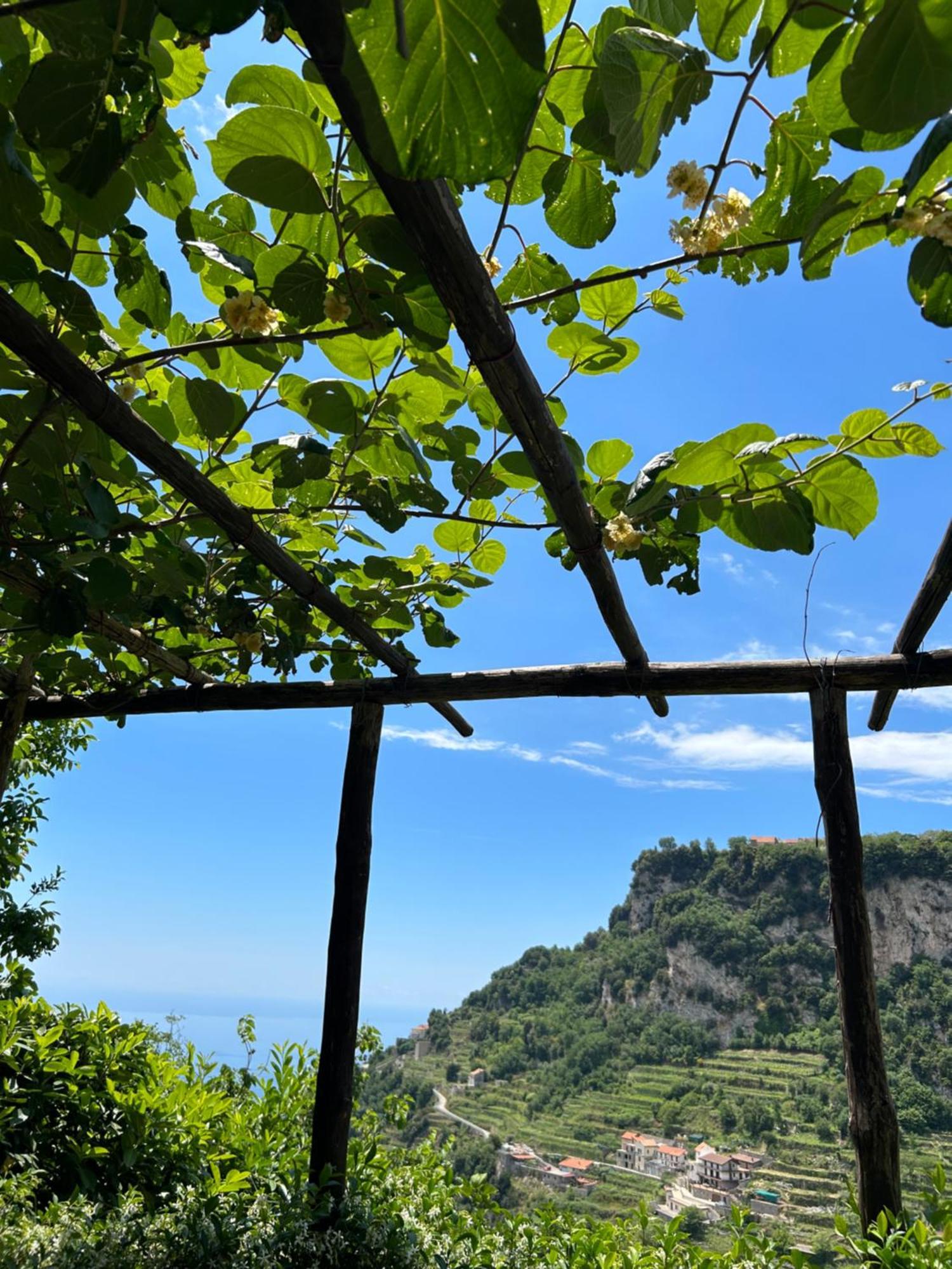 Orrido Di Pino