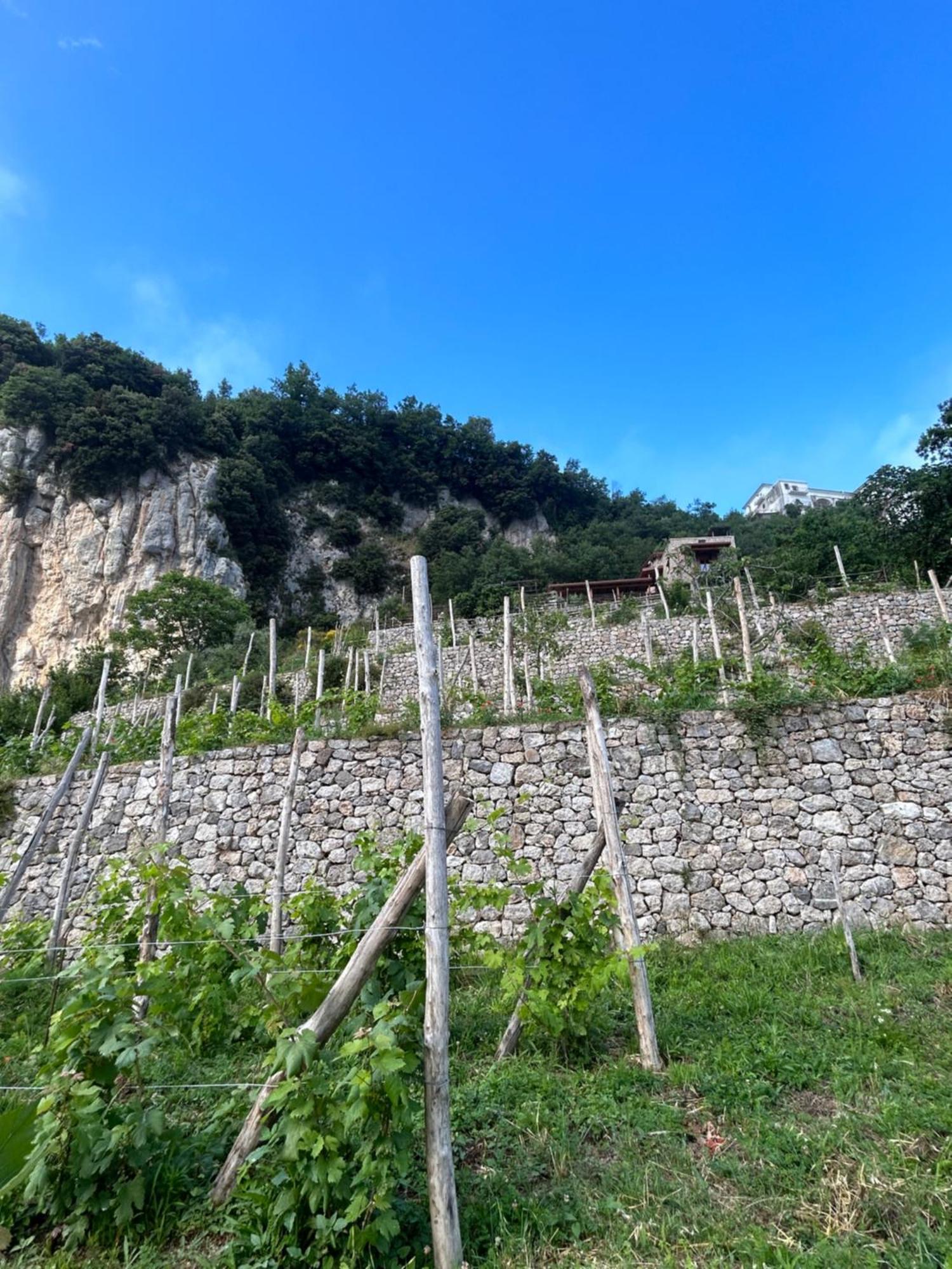 Orrido Di Pino * Agerola