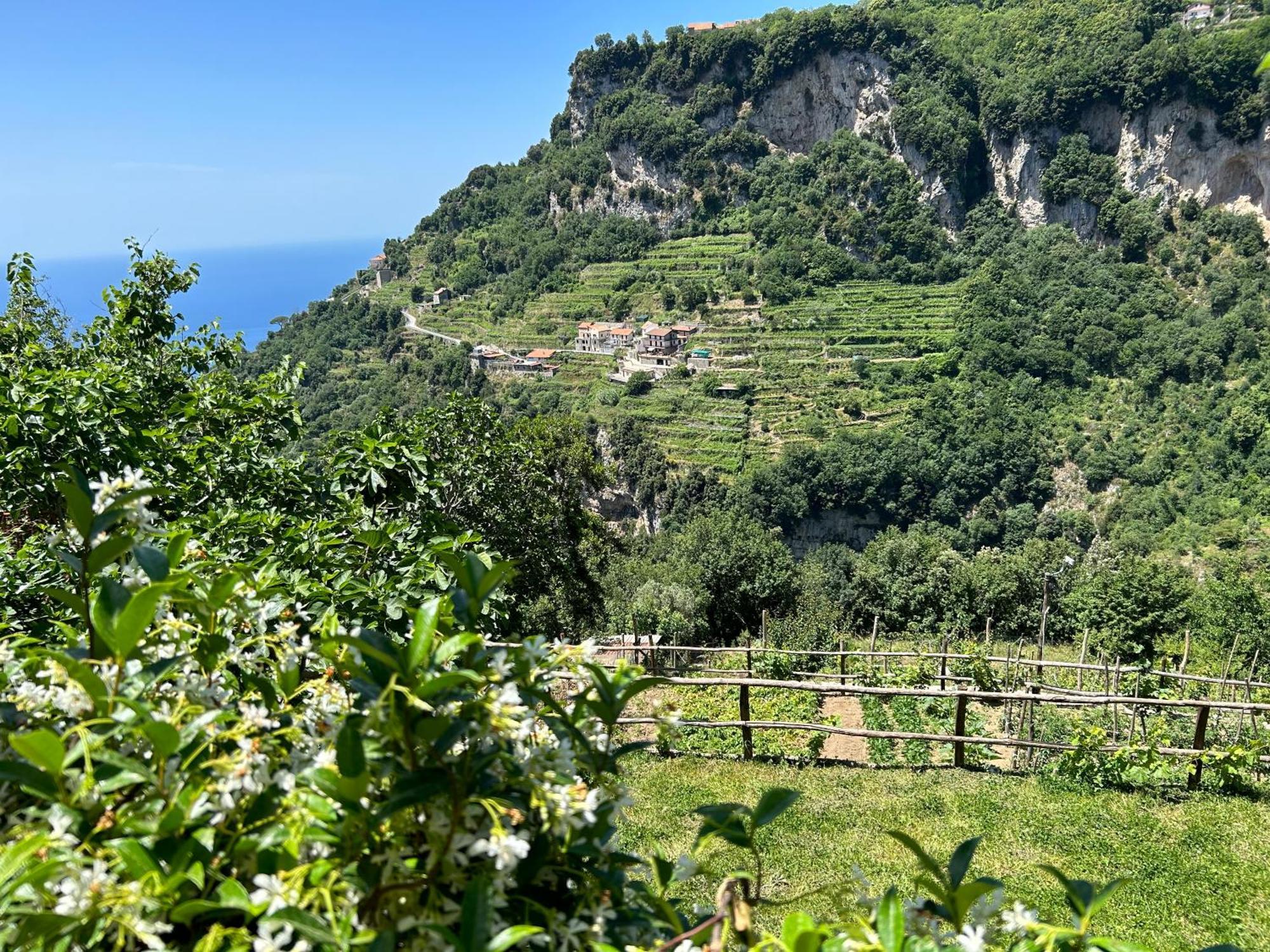 Orrido Di Pino Alojamento de Turismo Rural *