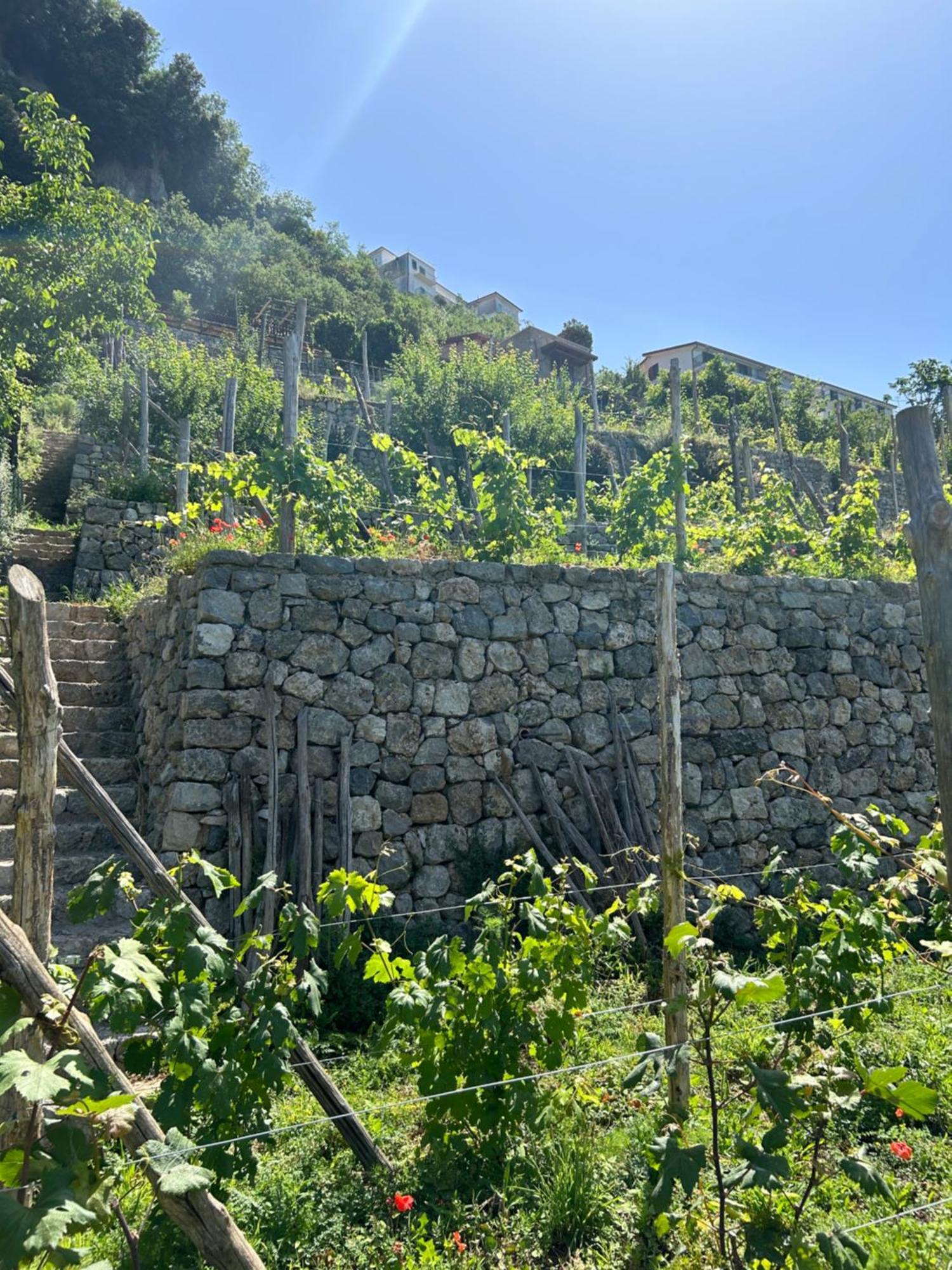 Orrido Di Pino Alloggio per agriturismo *