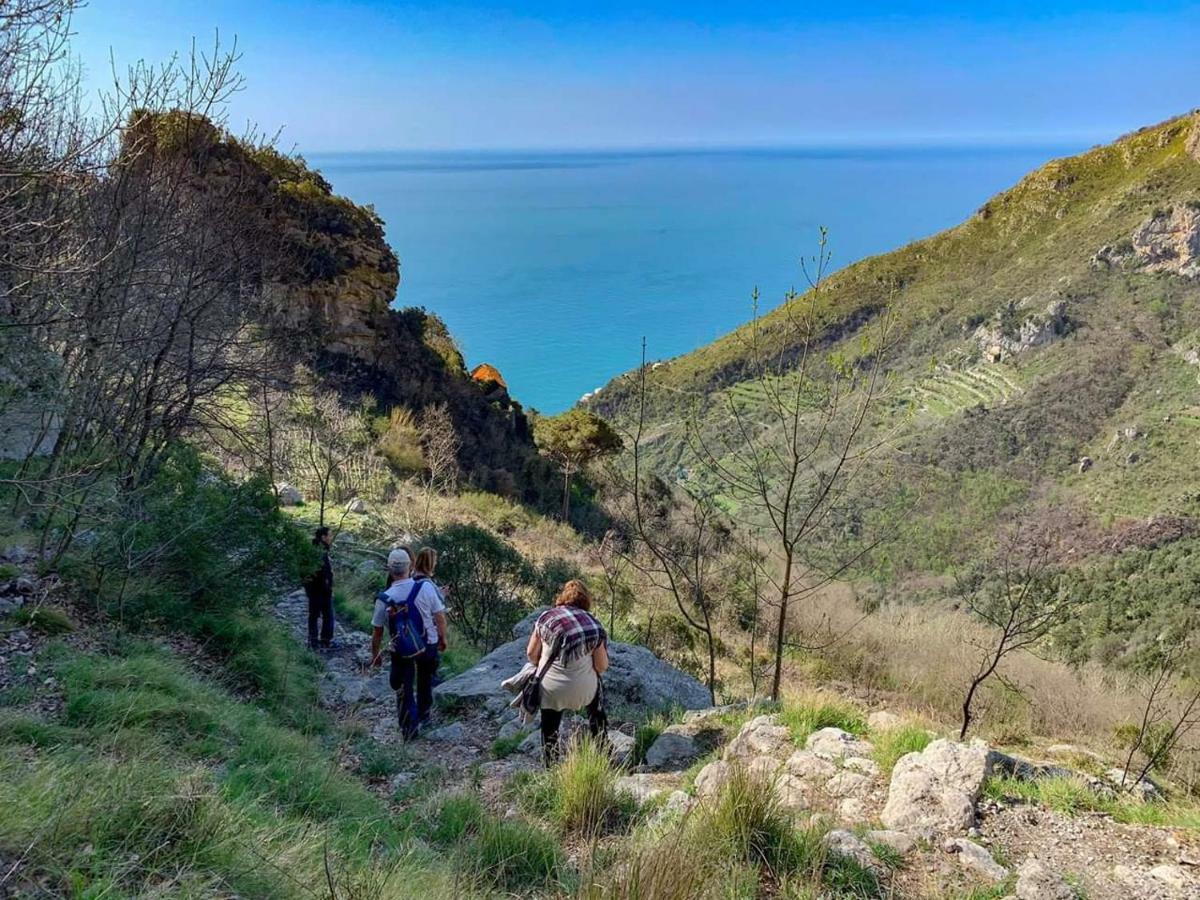 Orrido Di Pino Alloggio per agriturismo *