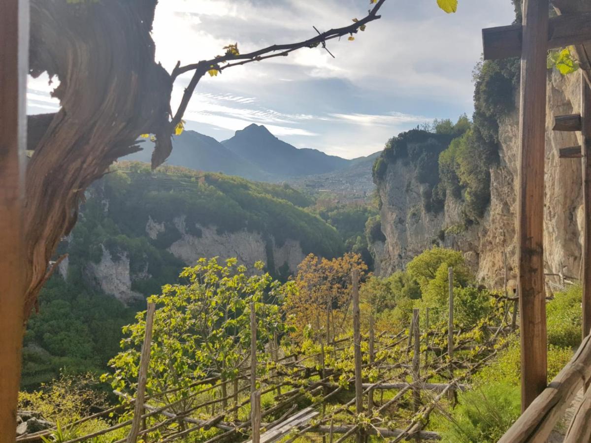 Alojamento de Turismo Rural Orrido Di Pino *